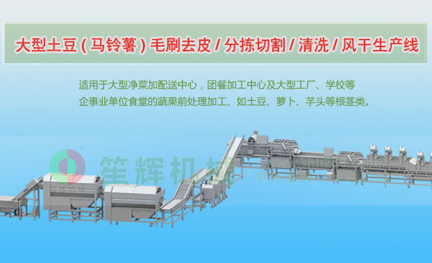 红安连续式土豆去皮清洗切割风干生产线